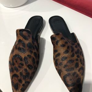 Brand new! Calfskin leopard mules!